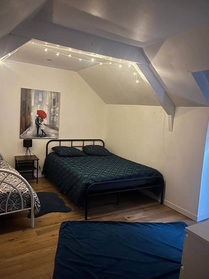 Location de vacances pour 5 personnes, avec vue et terrasse, animaux acceptés à Josselin - 2