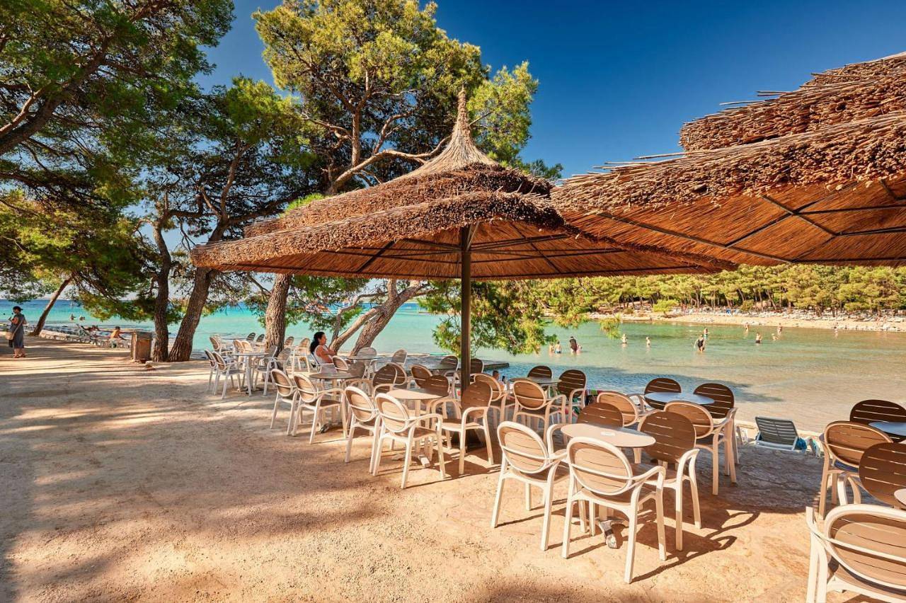 Pine Beach Bungalows all inclusive in Ciuleanu-Veres Beach, Pakostane