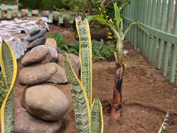 Villa pour 4 personnes, avec sauna et piscine ainsi que jardin et vue dans Cap-Vert - 3