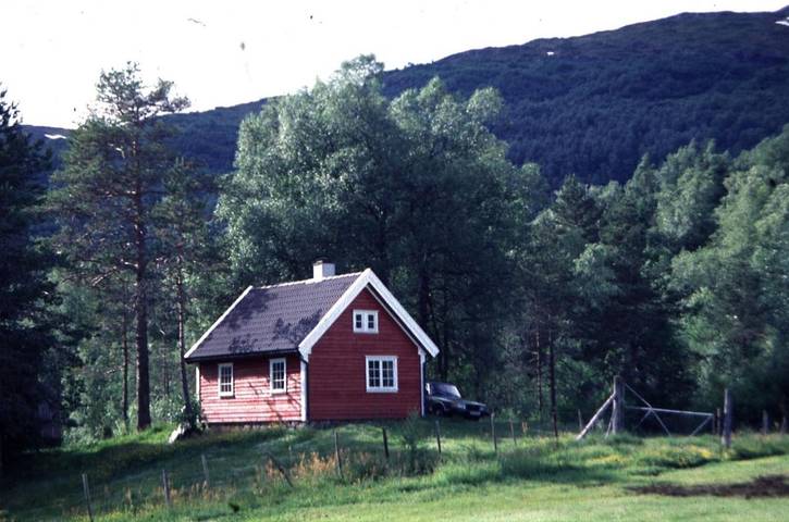 Chalet voor 4 personen, with kinderzwembad and uitzicht as well as terras, met huisdier in Noorwegen