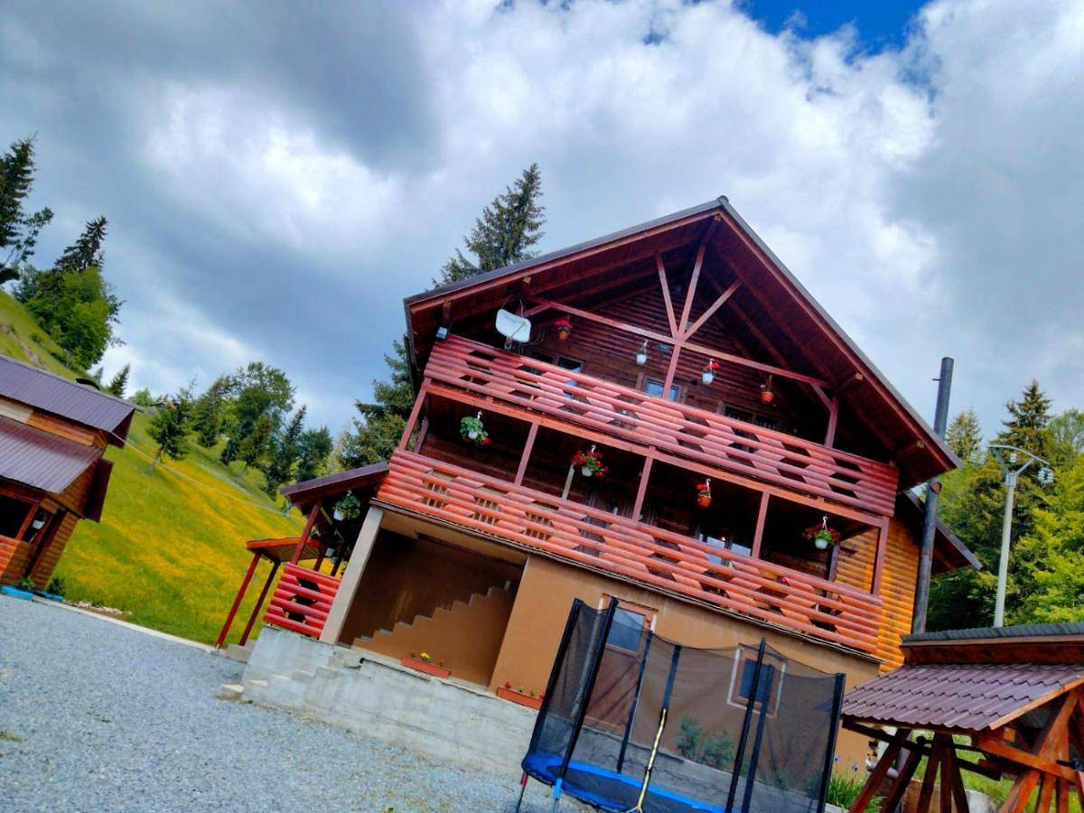 Cabana Sânziana in Alba (Romania)