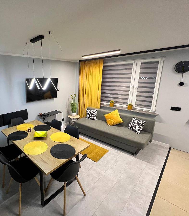 Cały apartament, Apartament Na Wspólnej in Sosnowiec, Śląsk