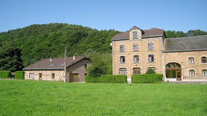 Vakantiehuis voor 21 personen, met tuin en sauna, met huisdier in Stavelot