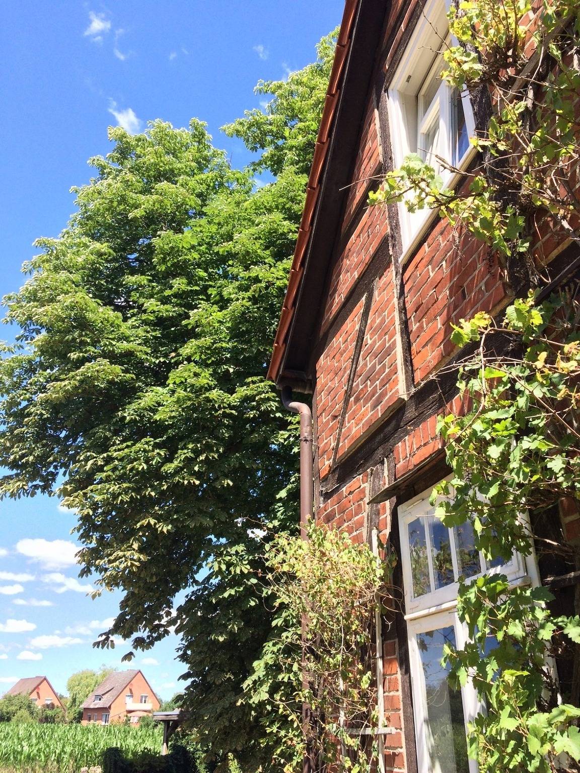 Wendlandhof Lüggau in Dannenberg, Elbtalaue