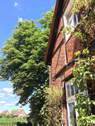 Ferienhaus für 11 Personen in Dannenberg, Elbtalaue, Bild 4