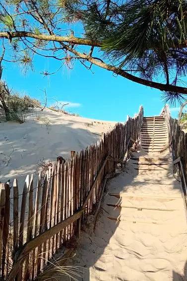 Geheel appartement, 3 Pièces 4 Personnes in Mimizan Plage, Mimizan