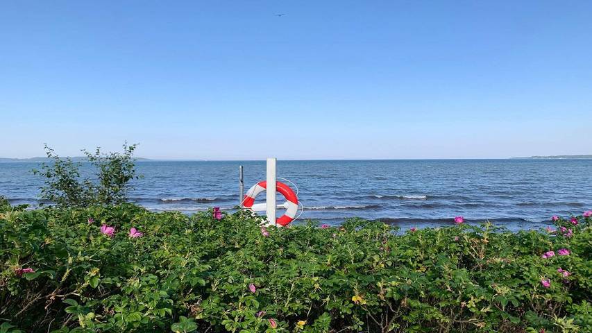 Ferienhaus für 9 Personen, mit Garten und Sauna in Mørkholt - 3