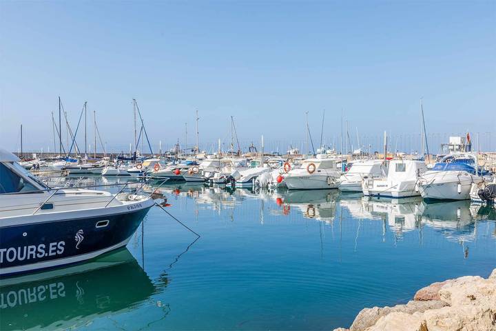 Holiday apartment for 3 people, with pets - 1