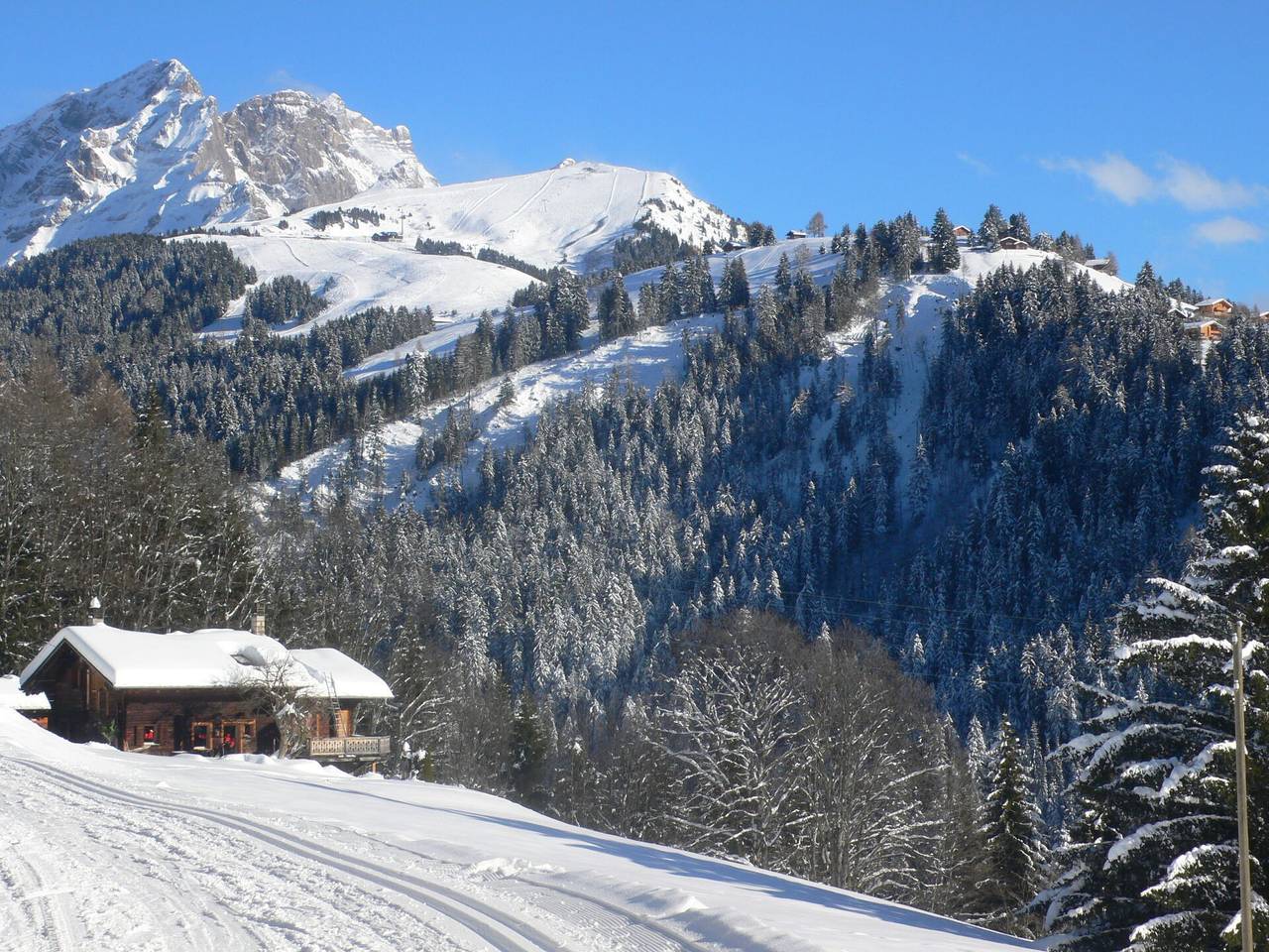 Apartamento entero, Villars 110 - Les Dryades 6 110.2 in Villars-sur-Ollon, Ollon (Villars-sur-Ollon)