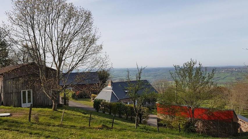 Offer view