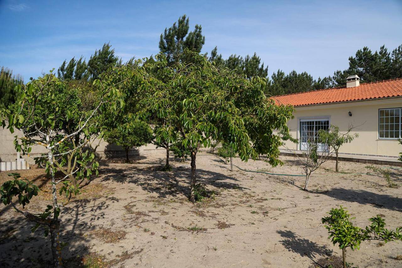 Three-Bedroom House in Nazaré, Leiria distrito
