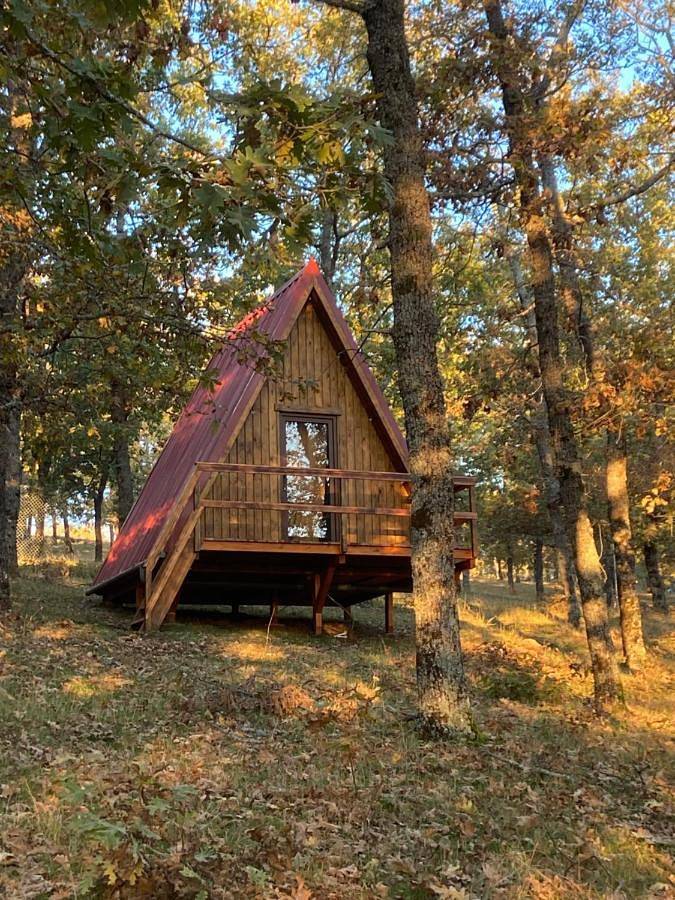 Gîte pour 2 personnes, avec Balcon et Terrasse ainsi que Jardin et Piscine dans Lagunilla
