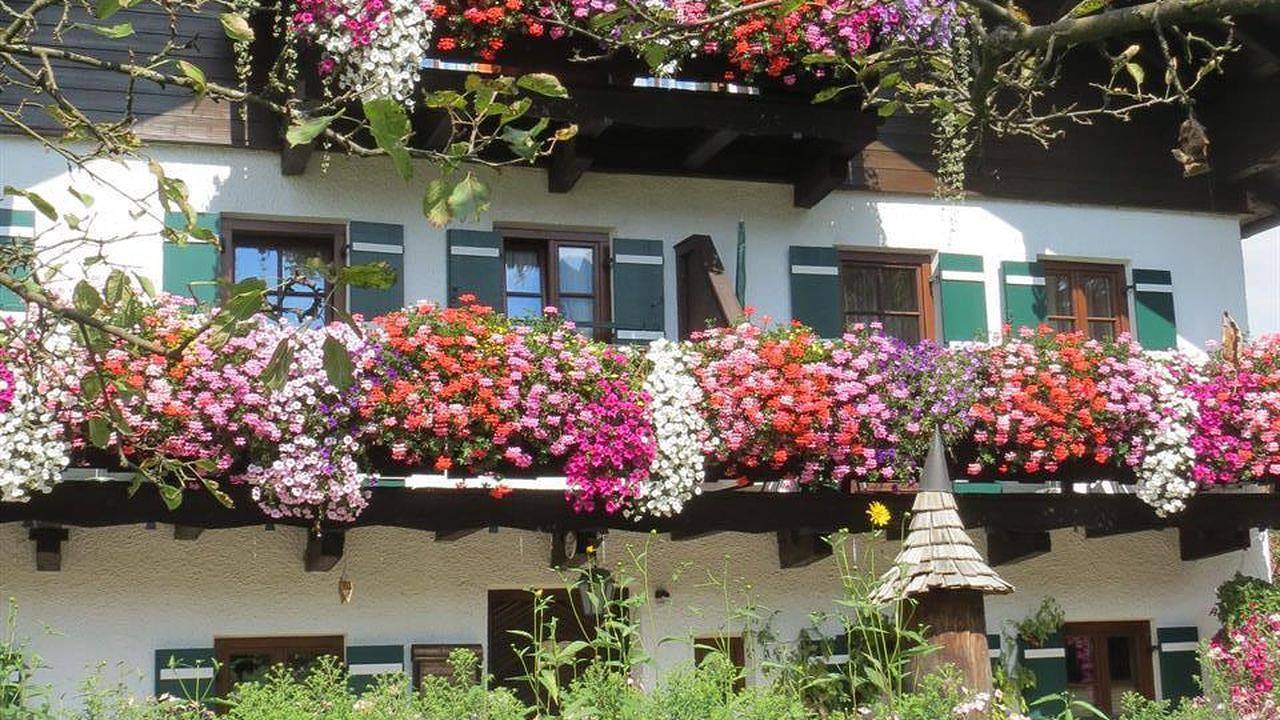 Cały apartament wypoczynkowy, Ferienwohnung für 3 Personen (65 m²) in Großgmain in Großgmain, Inn-Salzach Region