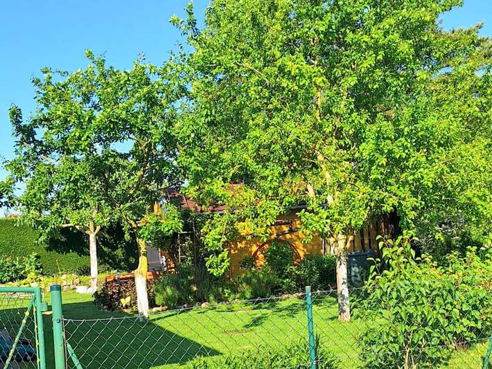 Ferienhaus für 7 Personen, mit Terrasse und Garten in Saal - 4