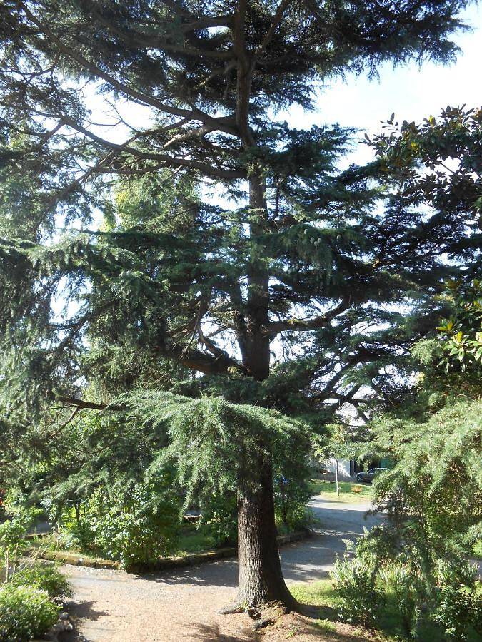 Chambre d’hôte pour 2 personnes, avec vue ainsi que piscine et jardin à Saumur - 4