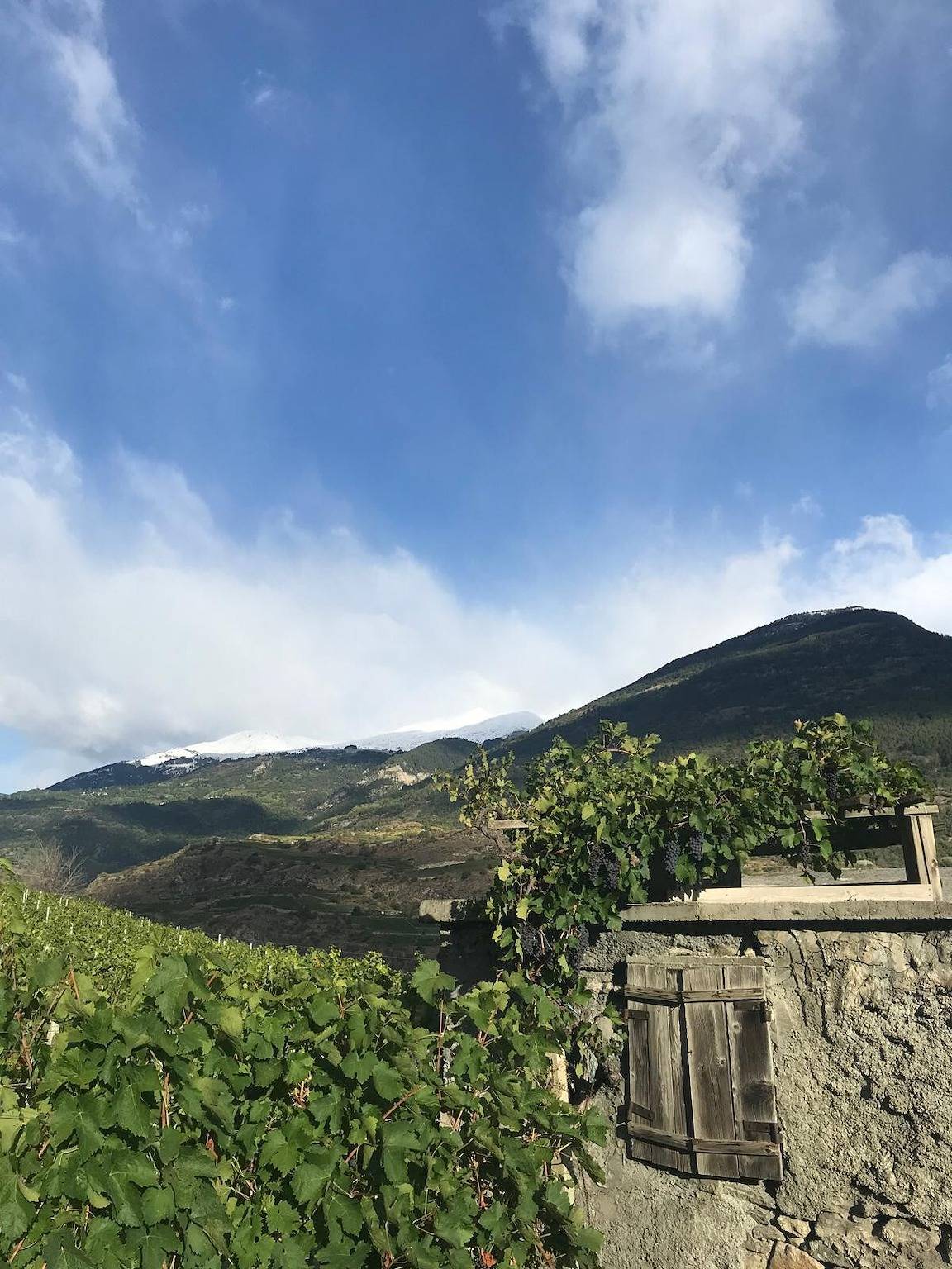 Ganze Wohnung, Ferienwohnung 'Bilocale Vista Monte Bianco' mit Bergblick, Gemeinschaftsgarten und Balkon in Ozein, Comune di Aymavilles
