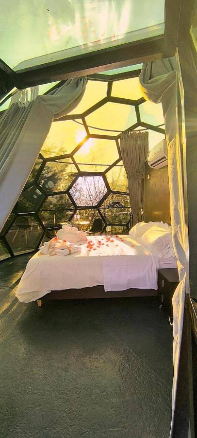 Glamping El Jardín De Las Delizias Valle Del Jerte in Casas del Castañar, Valle del Jerte