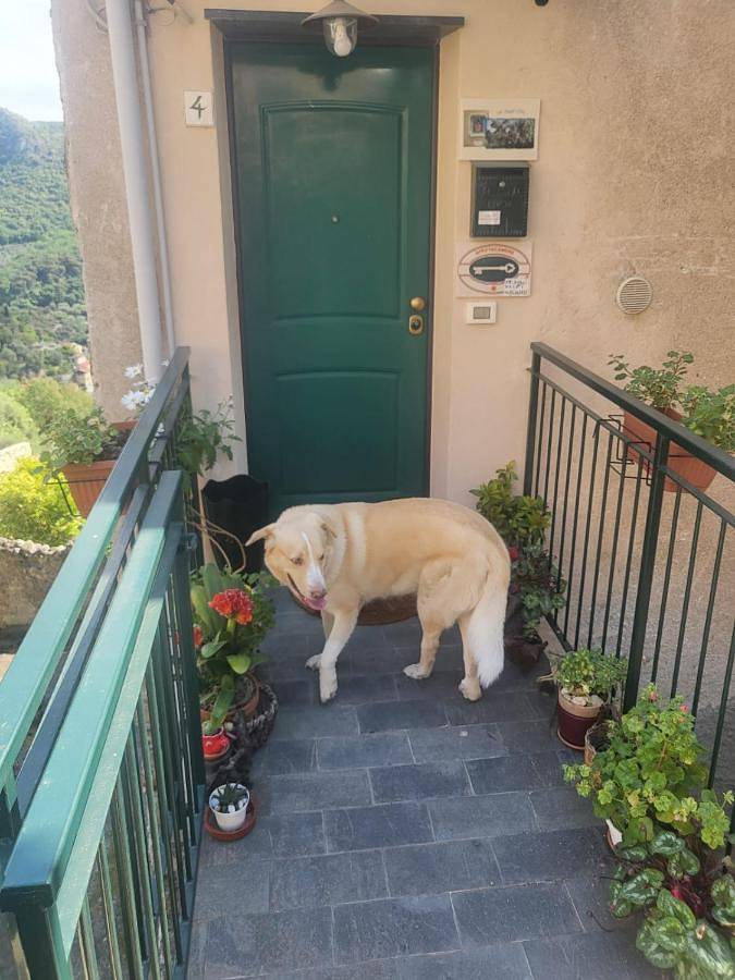 Cà degli Ulivi in Finale Ligure Gemeinde, Riviera di Ponente
