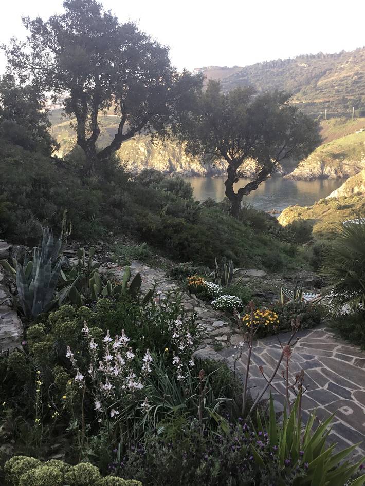 Ferienwohnung für 4 Personen, mit Kinderpool und Garten in Languedoc-Roussillon - 4