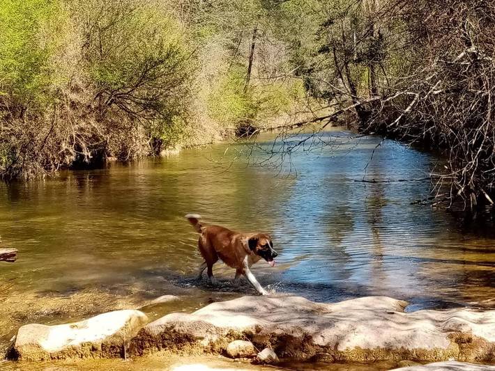 Chalet para 18 personas, con piscina además de jardín y vistas en Bages - 4