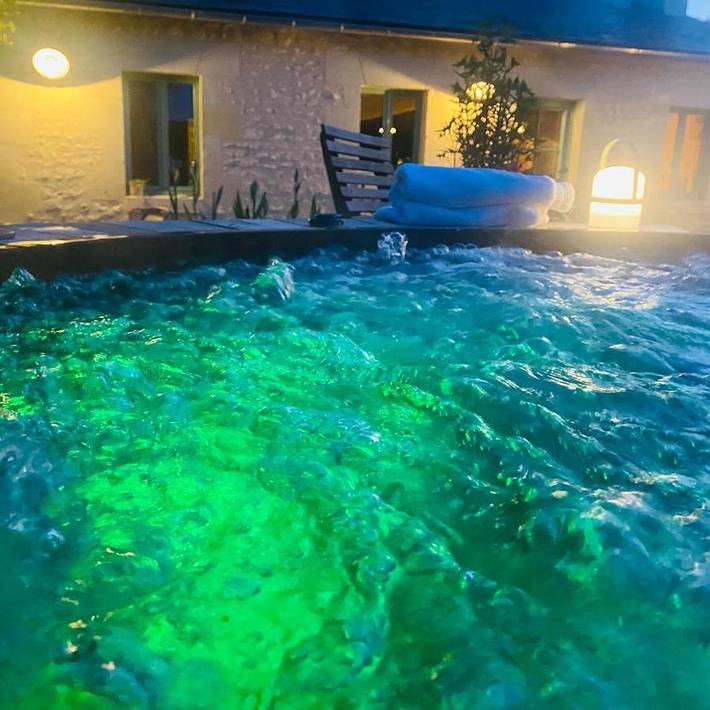 Location de vacances pour 4 personnes, avec piscine ainsi que vue et jardin à Ligré - 4