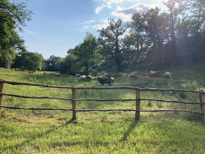Gîte pour 4 personnes, avec jardin ainsi que terrasse et vue à Gaillac-d'Aveyron - 4