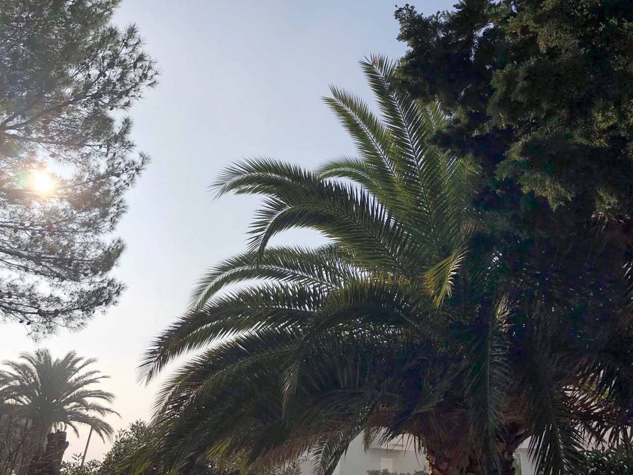 Ganze Wohnung, Wohnung in Novalja am Strand in Novalja, Pag