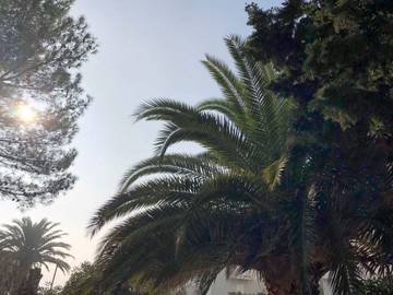 Holiday Rental for 4 People in Novalja, Pag Island, Photo 2