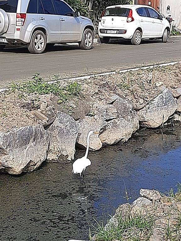 Maitê Stay in Paraty, Costa Verde (Rio de Janeiro)