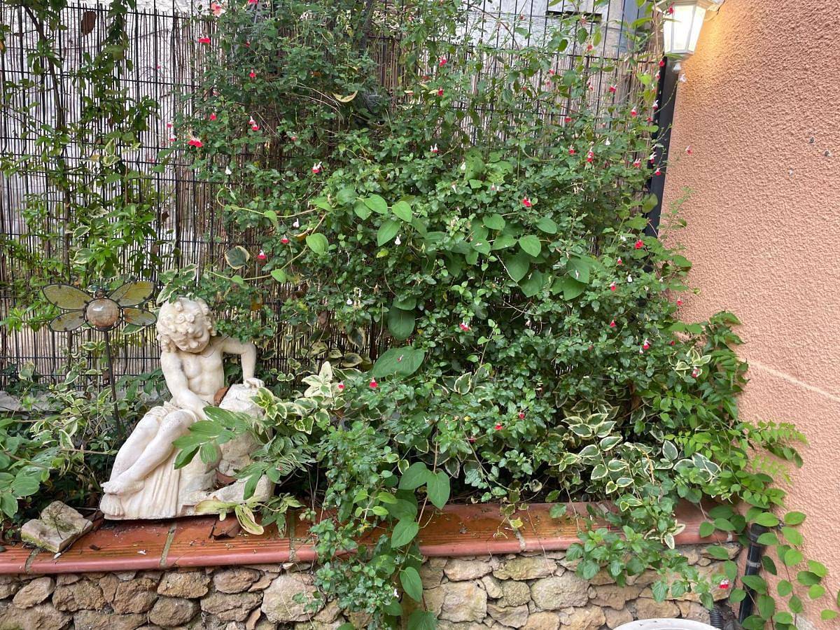 Appartement entier, Appartement avec jardin sous les couverts in Mirepoix, Ariège