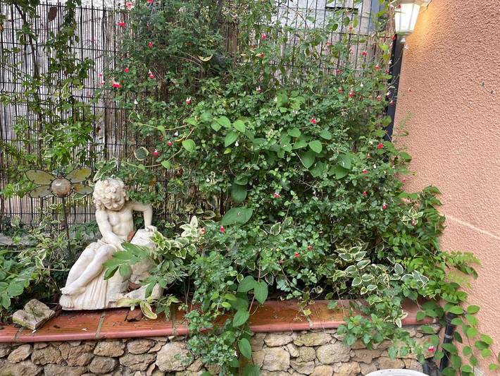 Gîte pour 2 personnes, avec terrasse à Mirepoix - 4