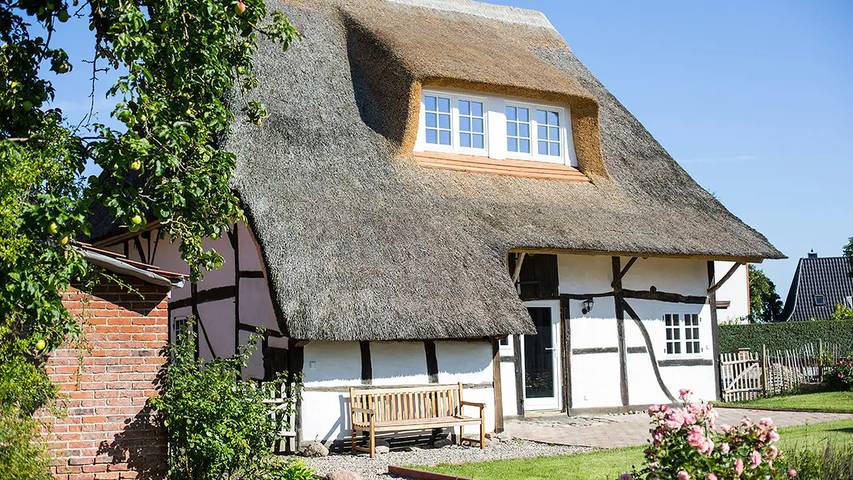 Ferienhaus für 4 Personen, mit Garten und Sauna sowie Terrasse, mit Haustier