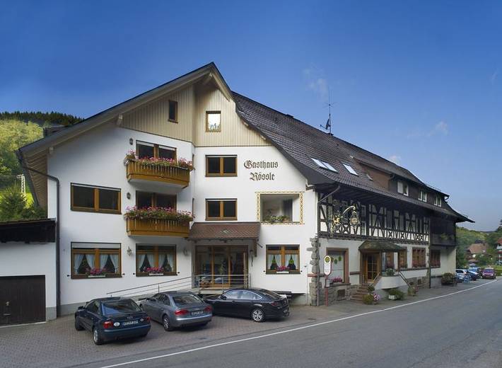 Hotel für 2 Personen, mit Garten, kinderfreundlich in Elzach - 2