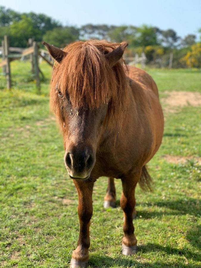 Location de vacances pour 2 personnes, avec vue et jardin à La Gacilly - 3