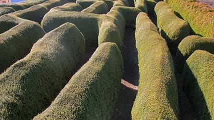 Cottage for 5 People in Tasmania, Australia, Photo 4