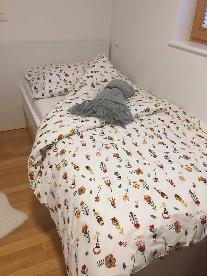 Gîte pour 4 personnes, avec jardin et vue dans Mojstrana - 4