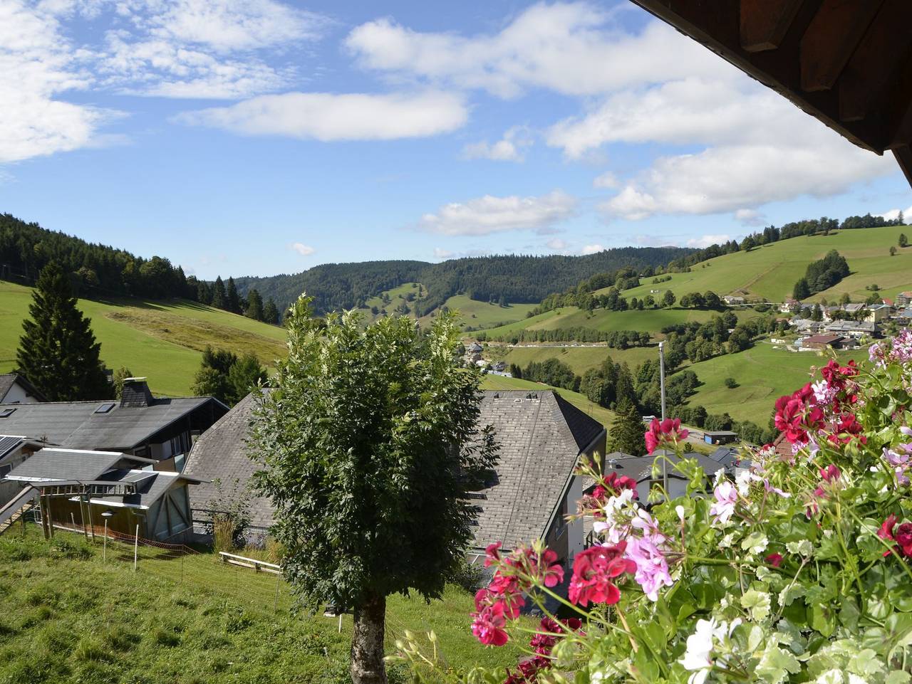 Ganze Ferienwohnung, Sunmattehof - Ferienwohnung Horn in Suedlicher Schwarzwald, Todtnau