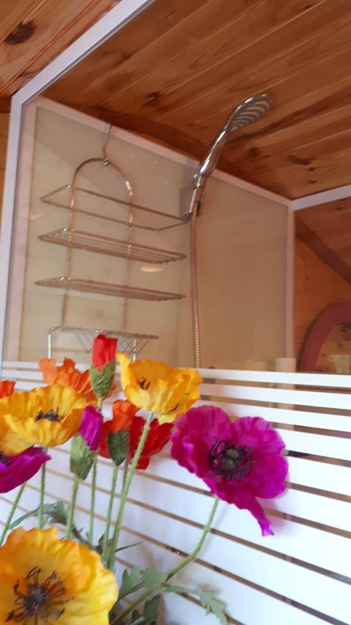 Deluxe Double Room with Shower in Chazey-sur-Ain, Belley