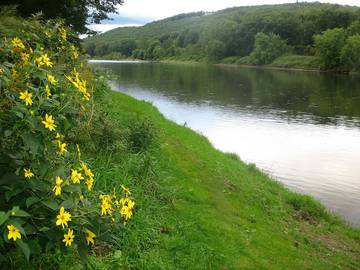 Log Cabin for 7 Guests in Pike County, Picture 2