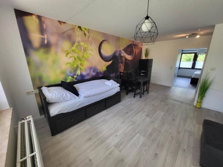 Ferienwohnung für 6 Personen, mit Whirlpool und Terrasse sowie Garten und Pool in Niedenstein - 2