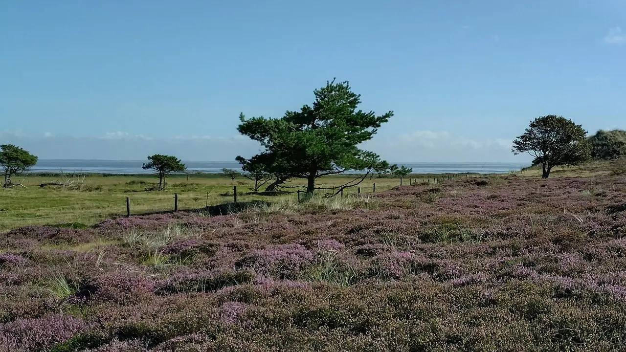 Feriehus for 5 personer med terrasse in Rindby, Wadden Sea National Park