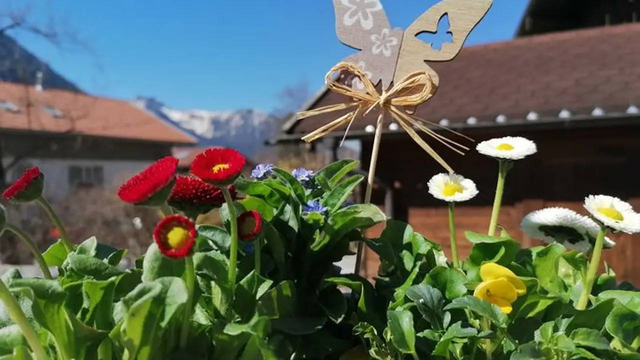 Ganze Ferienwohnung, Ferienwohnung für 2 Personen (50 m²) in Bayrischzell in Sudelfeld, Bayrischzell