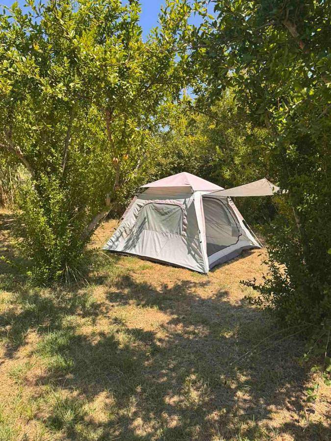 Camping für 2 Personen, mit Haustier in Montenegro