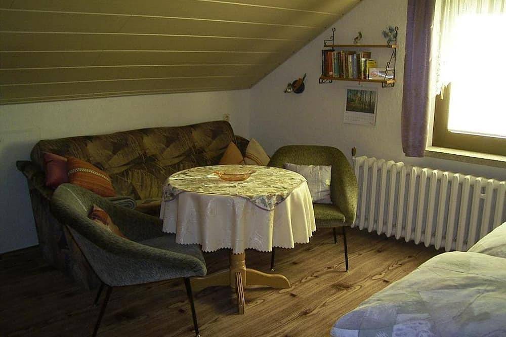 Ganze Wohnung, 1-Raum-Appartement mit Kochnische 2.Og - Ferienwohnungen Am Waldweg in Auerbach, Chemnitz und Umgebung