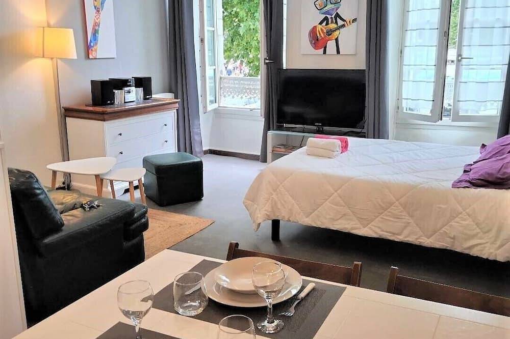 Entire apartment, Large studio 36m2 facing south and bordering Place Marcadieu in Tarbes, Hautes-Pyrénées
