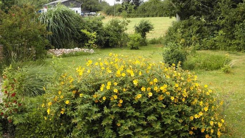 Ferienwohnung für 3 Personen, mit Garten in Olpenitzdorf - 2