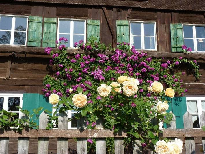 Ferienwohnung Immergrün in Görisried, Bayerisch Schwaben
