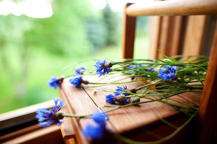 Ferienwohnung für 6 Personen, mit Garten und Terrasse in Bad Herrenalb - 3