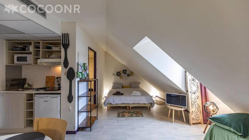 Gîte pour 4 personnes, avec vue, animaux acceptés dans Gare De Lourdes - 3