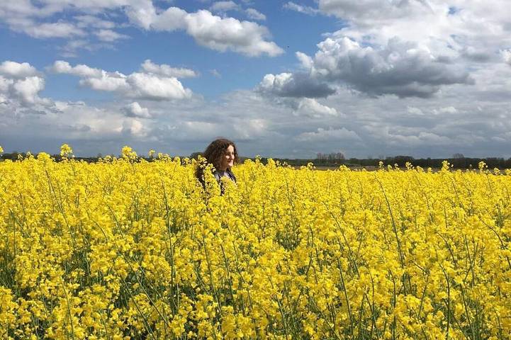 Ferienwohnung für 4 Personen, mit Haustier in Laage - 2